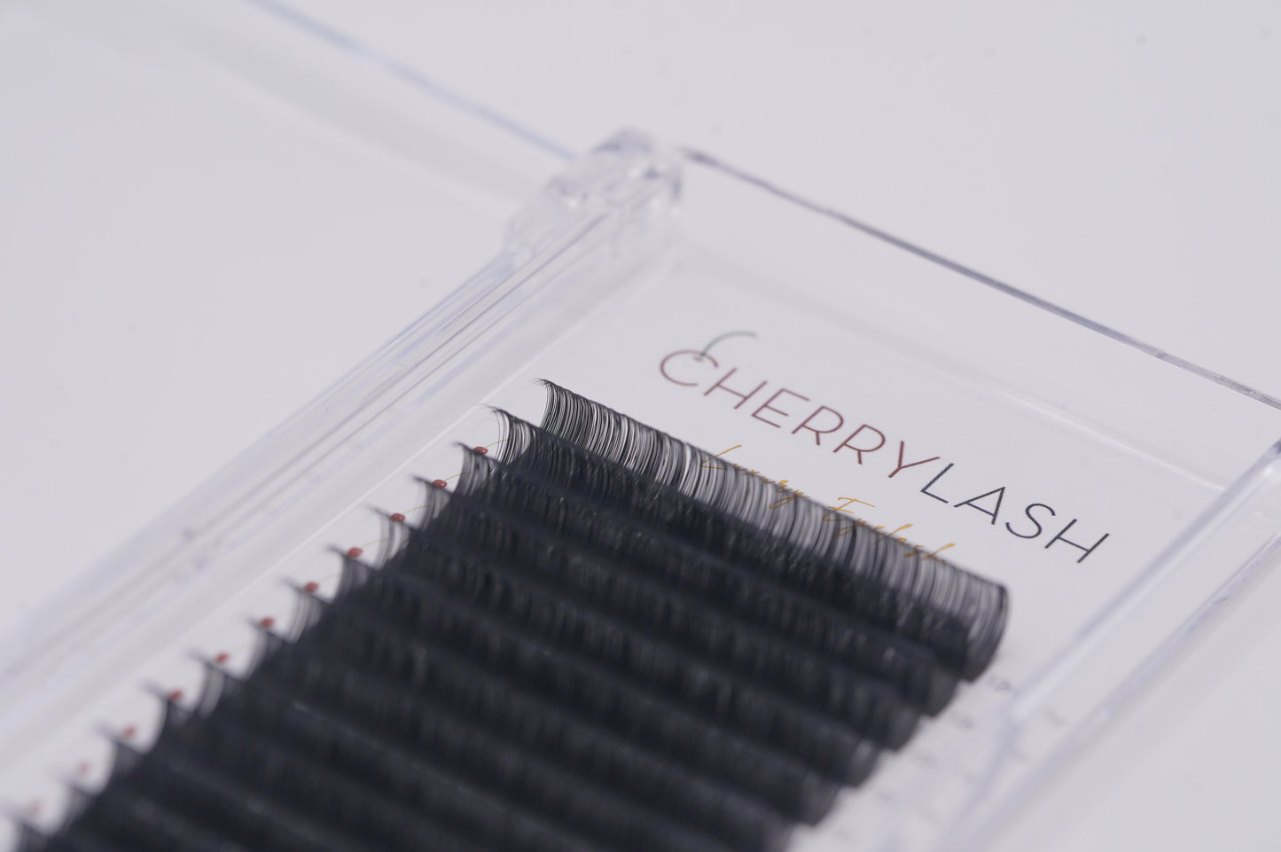 Mega Volume Lashes